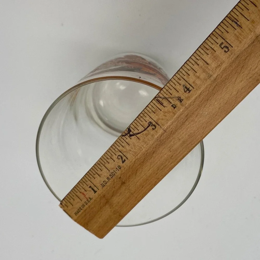 Vintage Pheasant Game Bird Drinking Glass Set of 2 Clear Tapered MCM Barware